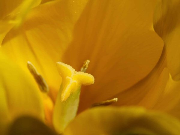 Camping et culture locale: Comment s'immerger?