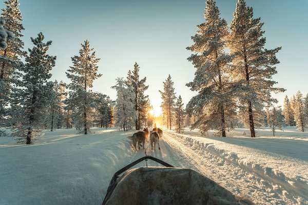 Voyage Laponie : activités à profiter et divers conseils pratiques à suivre