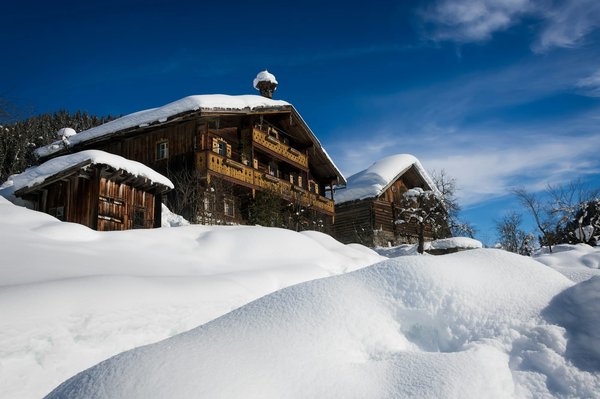Location de chalet dans les Vosges : vivez une expérience inoubliable en pleine nature